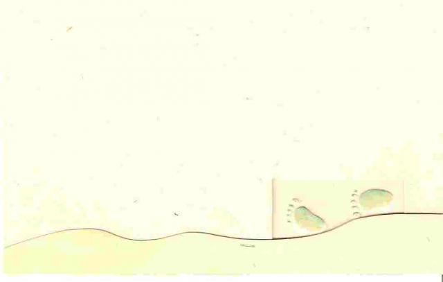 15437) Charlotte 29…