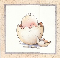 10074) Jasper 19-12…