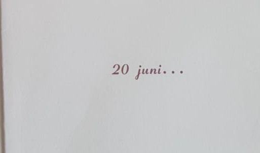 Emmy 20-06-1995.jpeg